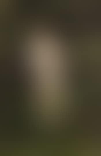 Nude in the woods (preview)