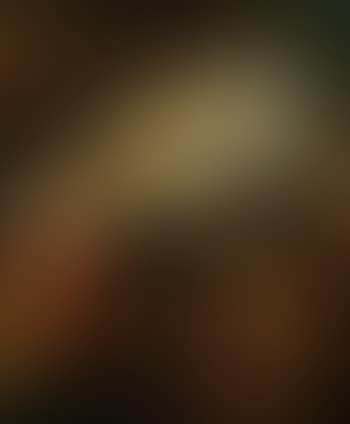 Meeting of Jacob and Laban (preview)