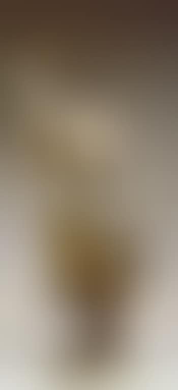 Oriental dancer (preview)