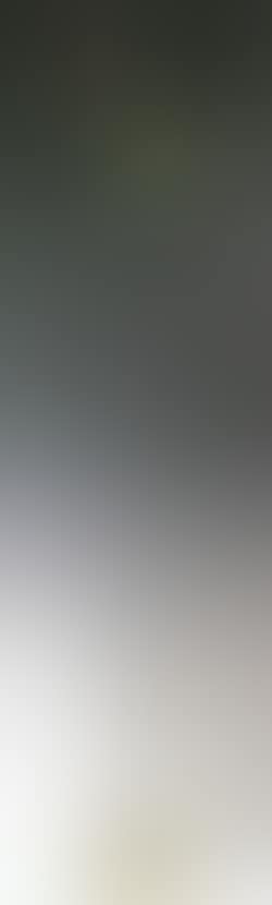 Signal (preview)