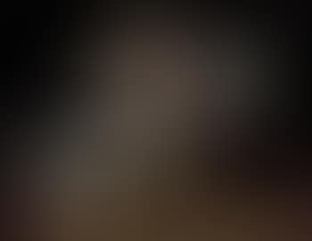 Still life of a partridge, hawk, snipe and other birds (preview)