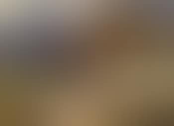 Peasant with horse outside mountain hut talking to girl (preview)
