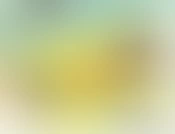 Landscape composition (preview)