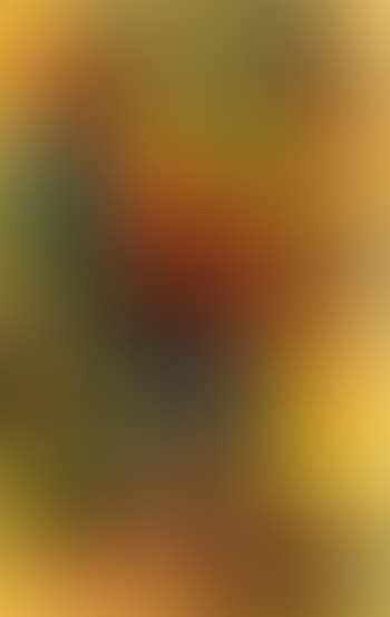 Composition (preview)