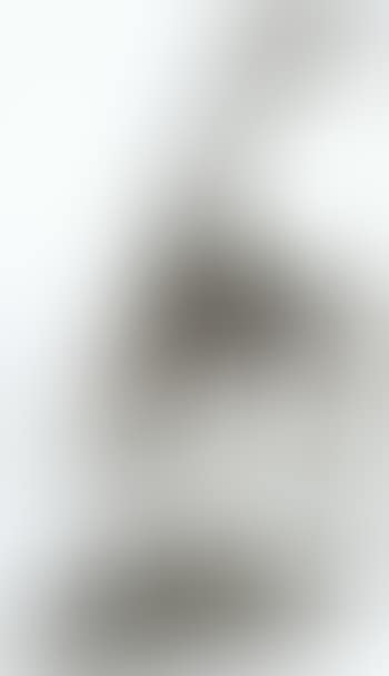 Horse (preview)