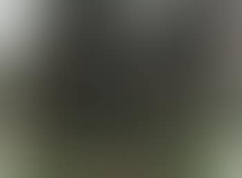 Landscape (preview)