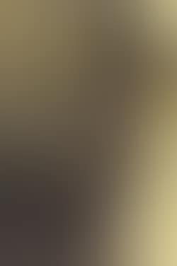 Le billet de faveur (preview)
