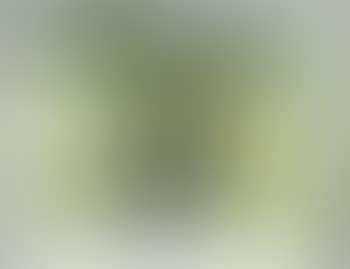 Compositie (preview)