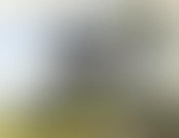 Paysage (preview)