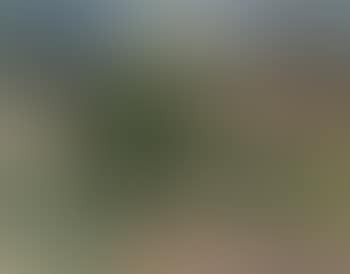 Landscape (preview)