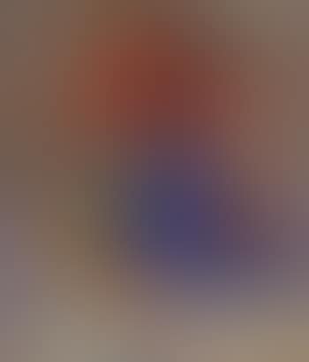 Fruits et fleurs dans un vase bleu (preview)