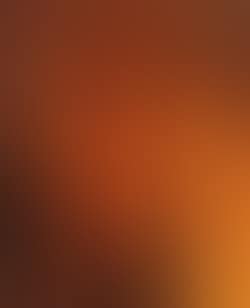 Tete d'animal (preview)
