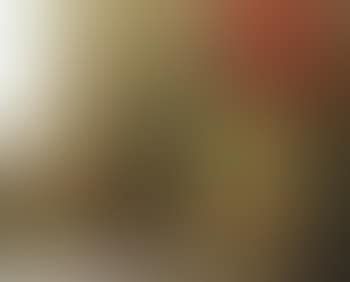 Nature morte a la tenture rouge (preview)