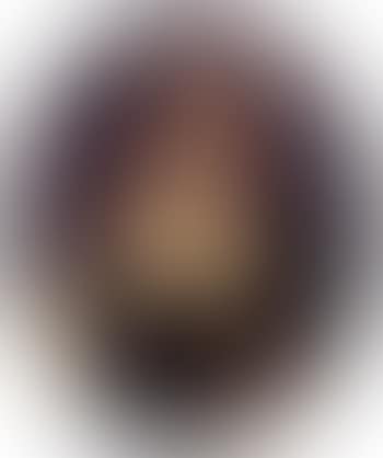 Portrait of a lady wearing a crimson and white gown (preview)
