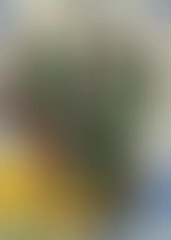 Composition (preview)