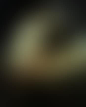 Cupid and Psyche (preview)