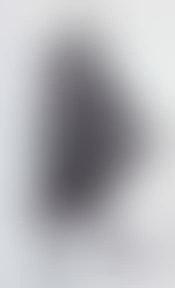 Oiseau (preview)