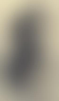 Head of bearded man looking down (preview)