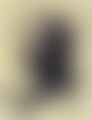Head of bearded man in profile (preview)