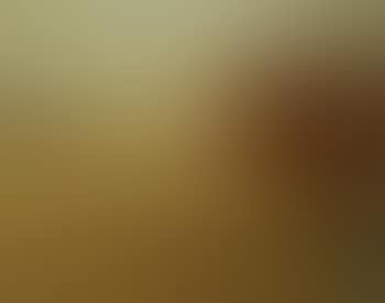 Paysage de Montagne (preview)