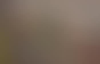 View of Madrid (preview)