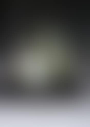Two opposing forms, grey and green (preview)