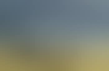 Sur la plage (preview)