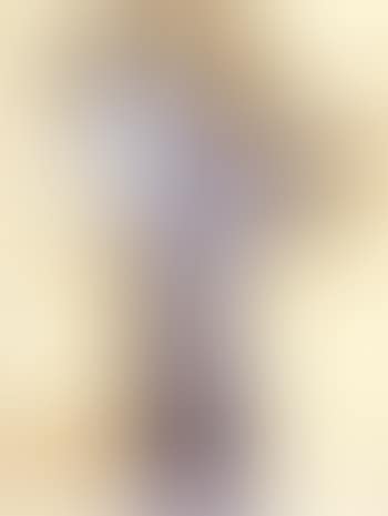 Study (preview)