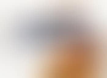 Signes et figurations (preview)