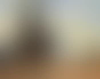 Landscape with resting cow (preview)