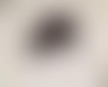 Composition fond blanc (preview)