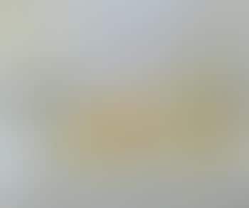 La table blanche (preview)