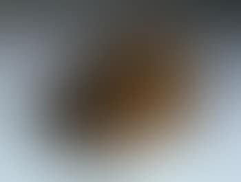 Coin de Chastete (preview)