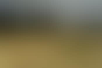 Fields with trees on horizon (preview)