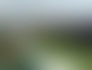 Bodensee (preview)