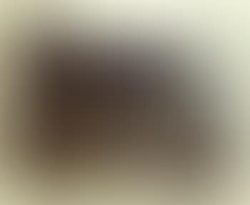 Studio (preview)