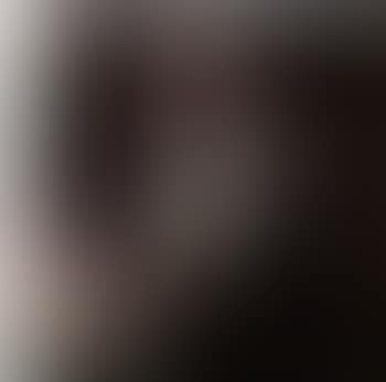 Beethoven (preview)