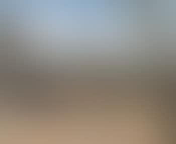 Southerly landscape with olive trees and pines (preview)