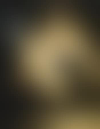 A soldier in uniform of Franconian war unit (preview)
