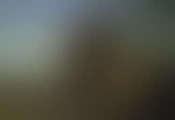 In Sabiner Mountains (preview)