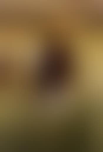 Figure in a mountain landscape (preview)