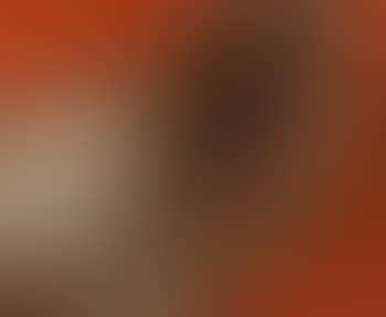 Reclining nude (preview)