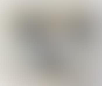 Winter wooded landscape at sunset (preview)
