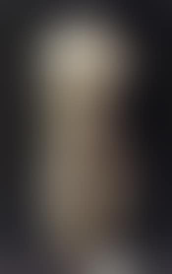Petite Venus, fragment (preview)