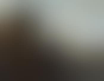 Italian harbour scene (preview)
