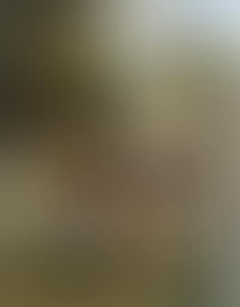 Girl trying to reach rose held by man on horse (preview)