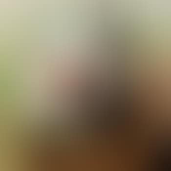 Small brothel (preview)