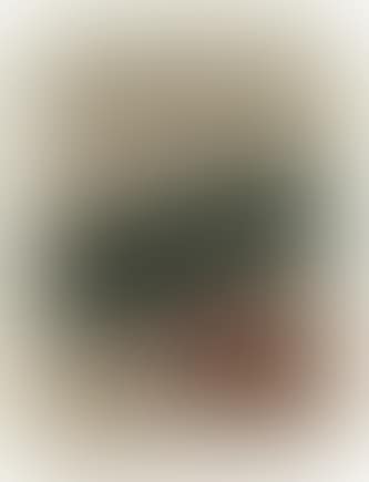 Composition (preview)