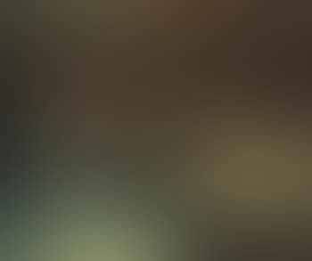Sunlit glen (preview)