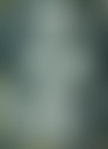 Figure (preview)